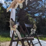 Chaise en bois mariage var, avec gerbes de fleurs et bouquet d'arche