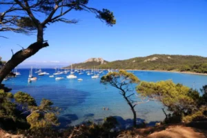 location d'assiette à Hyères - vu d'une plage de hyères les palmiers dans le var