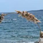 location d'arche pour mariage sur la plage de saint maxime au restaurant le 44