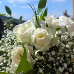 Bouquet de mariée en pivoines 🌸 : l’élégance naturelle pour le grand jour